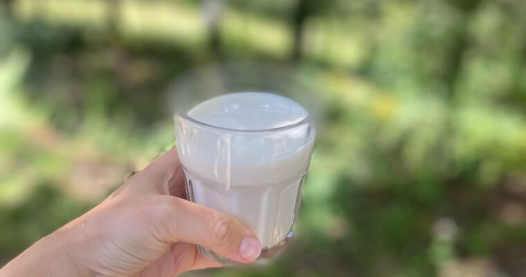 Homemade Oat Milk