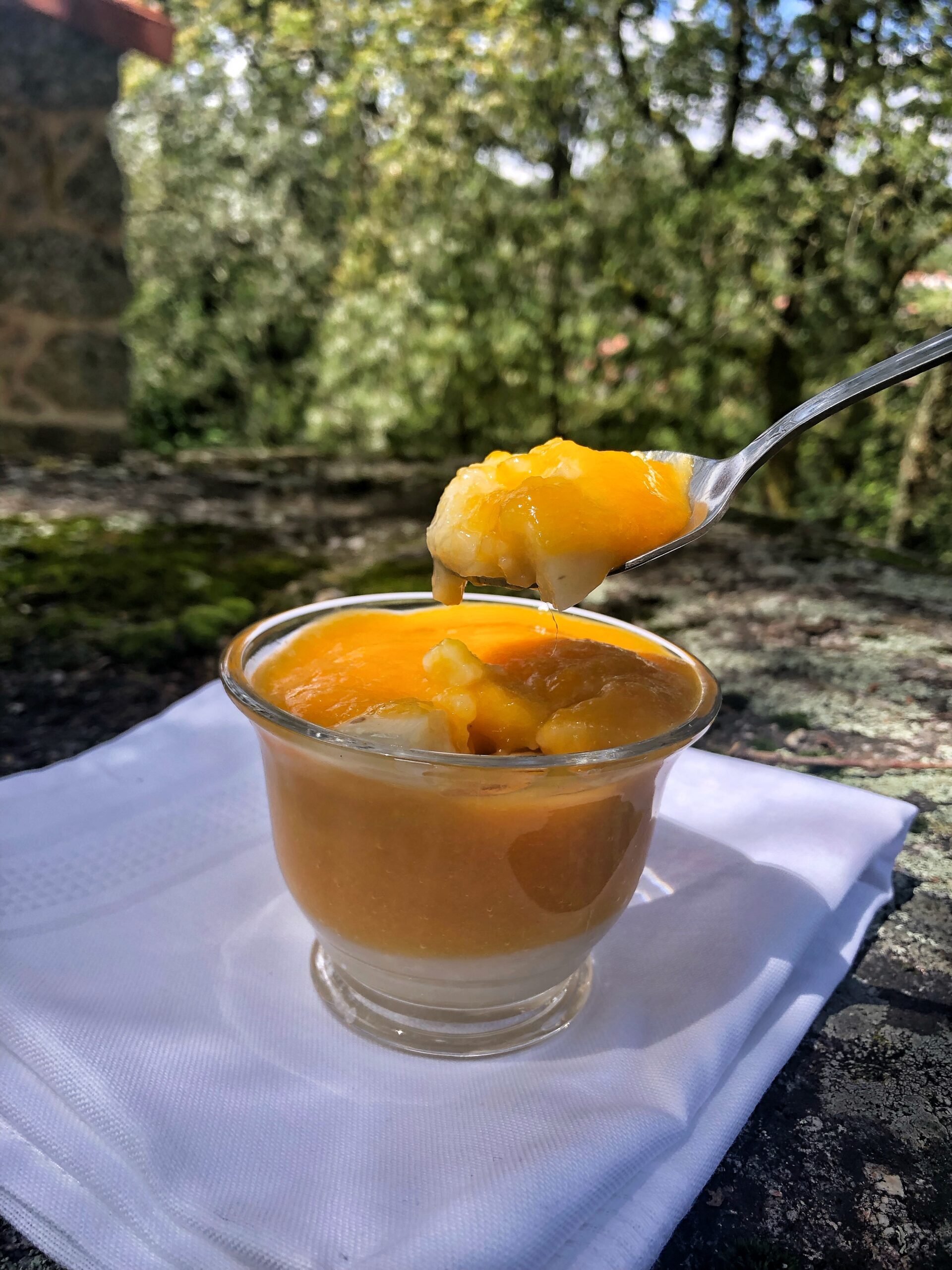 Elderflower Pudding with Mango Topping (sugar-free)