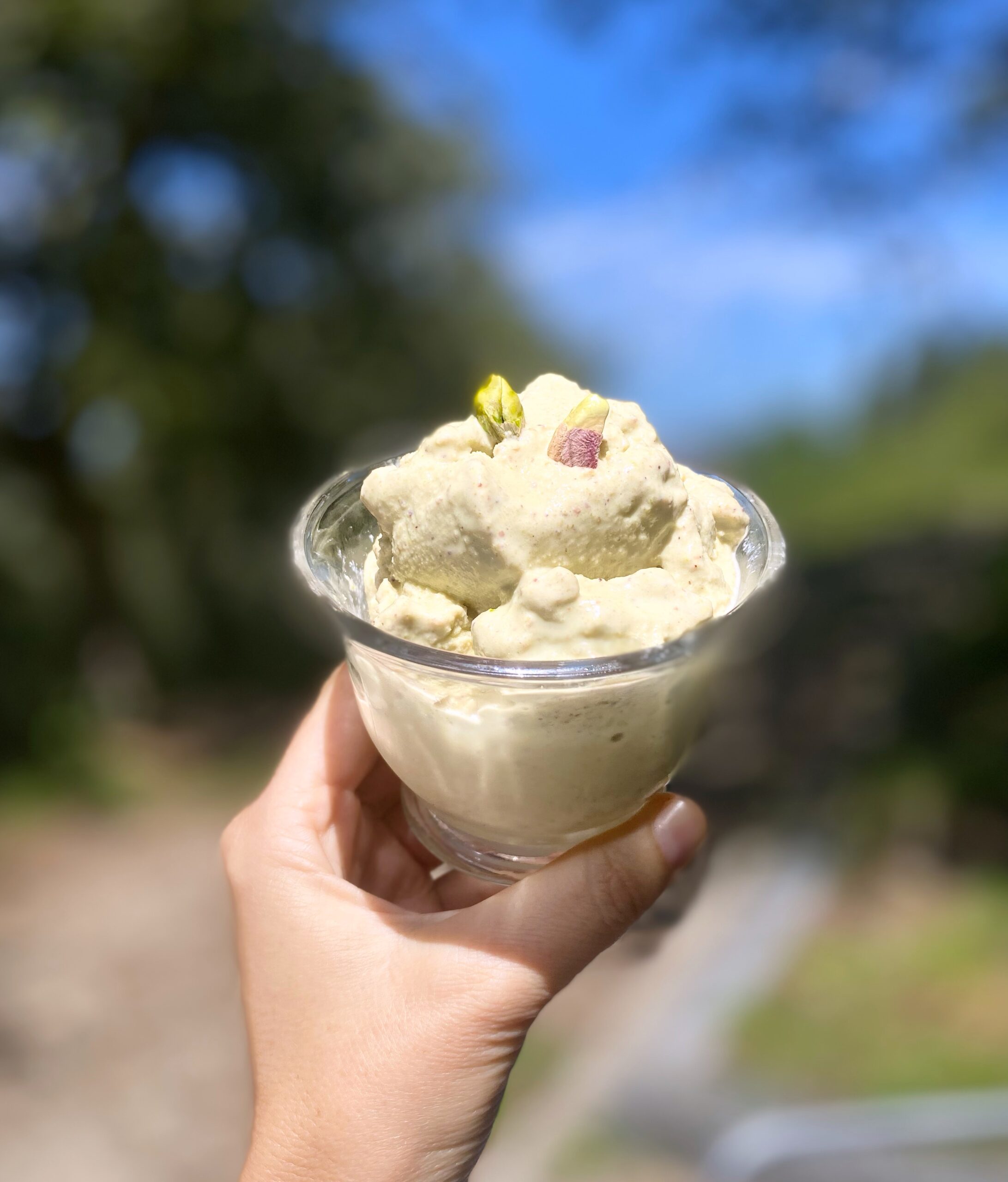 Delicious Vegan Pistachio Icecream (no-churn)