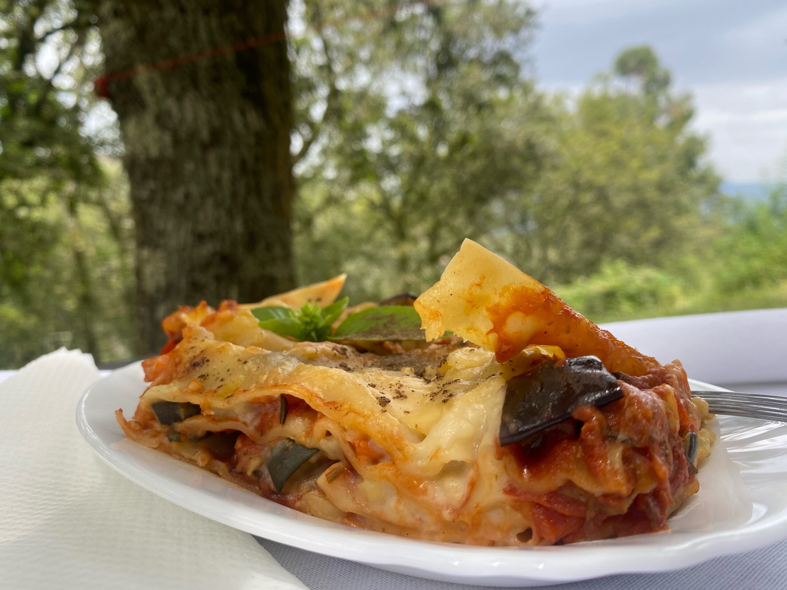 Dairy-free Vegetable Lasagne