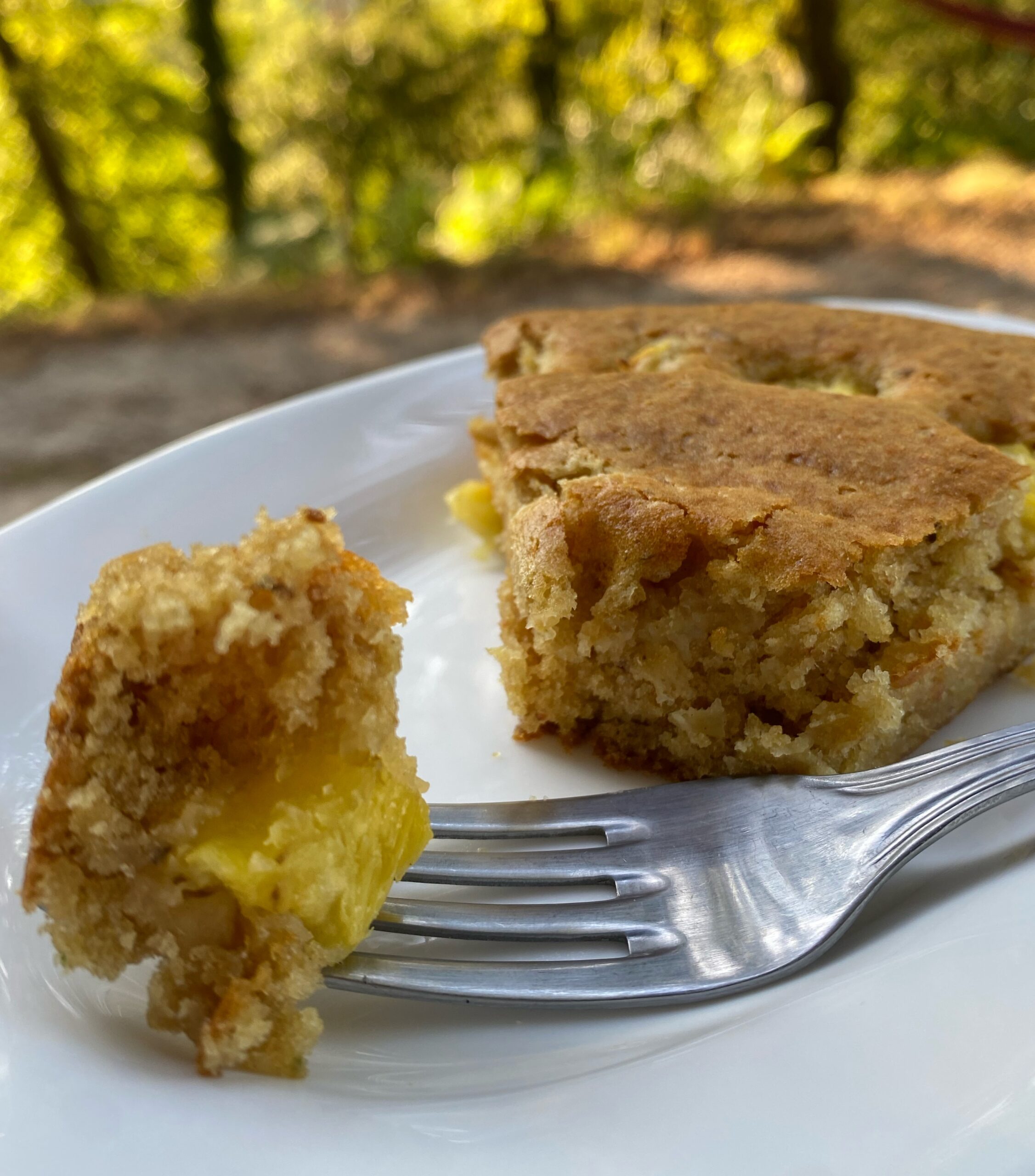 pineapple juicing pulp cake vegan, one piece on a fork, on plate