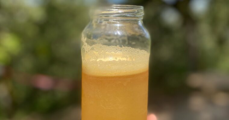 5-minute non-alcoholic Ginger Apple Cider Beer (no added sweetener)