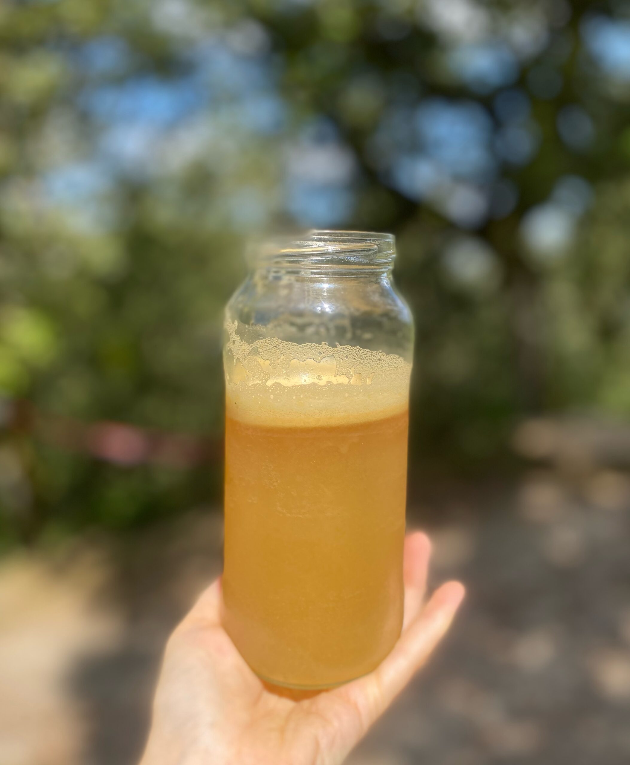 a glass with apple cider beer on natural background 